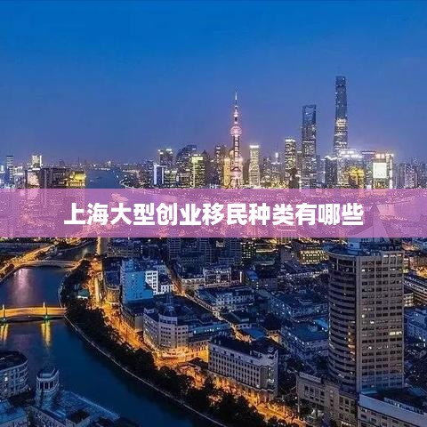 上海大型创业移民种类有哪些