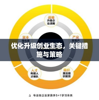 优化升级创业生态，关键措施与策略