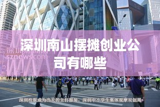 深圳南山摆摊创业公司有哪些