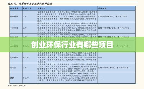 创业环保行业有哪些项目