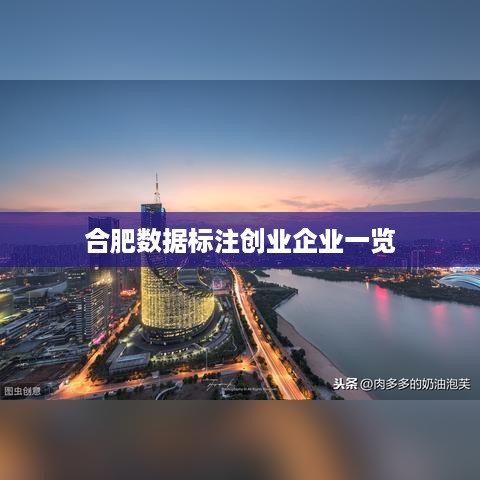 合肥数据标注创业企业一览