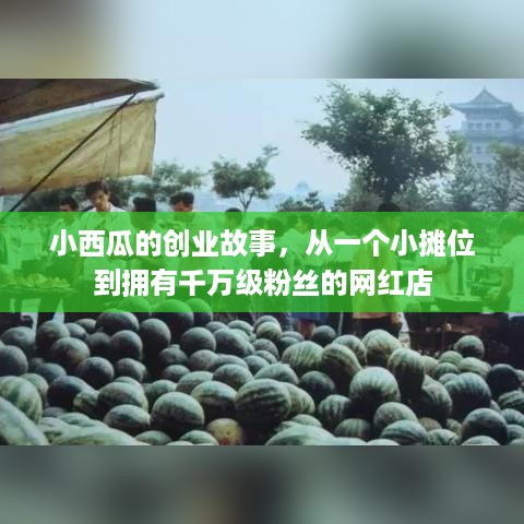 小西瓜的创业故事，从一个小摊位到拥有千万级粉丝的网红店