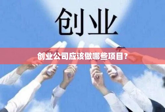 创业公司应该做哪些项目？