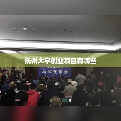 抚州大学创业项目有哪些