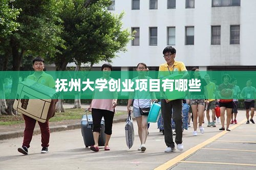 抚州大学创业项目有哪些