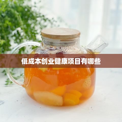 低成本创业健康项目有哪些