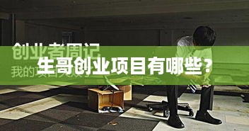 生哥创业项目有哪些？