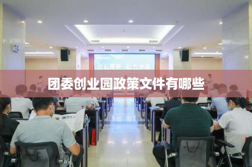 团委创业园政策文件有哪些