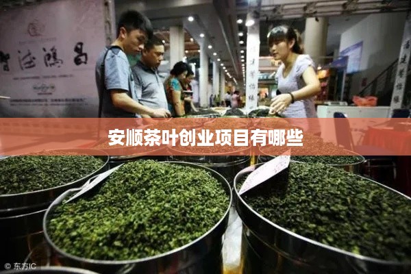 安顺茶叶创业项目有哪些