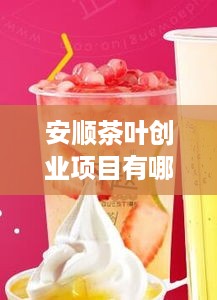 安顺茶叶创业项目有哪些