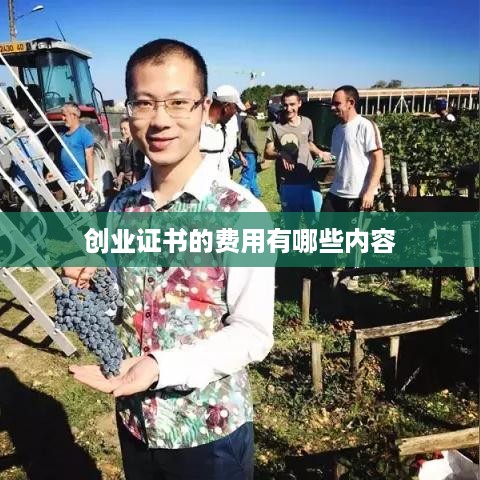 创业证书的费用有哪些内容