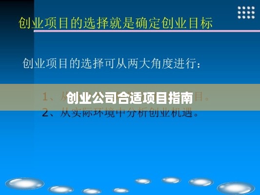 创业公司合适项目指南