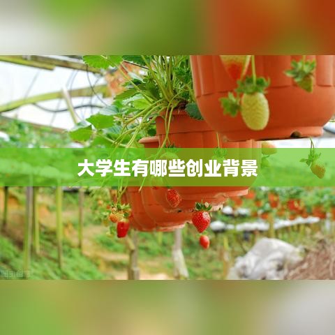 大学生有哪些创业背景