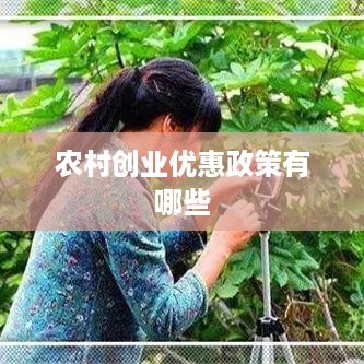 农村创业优惠政策有哪些