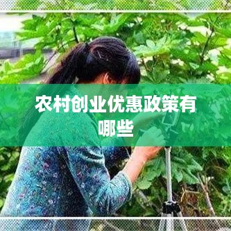 农村创业优惠政策有哪些