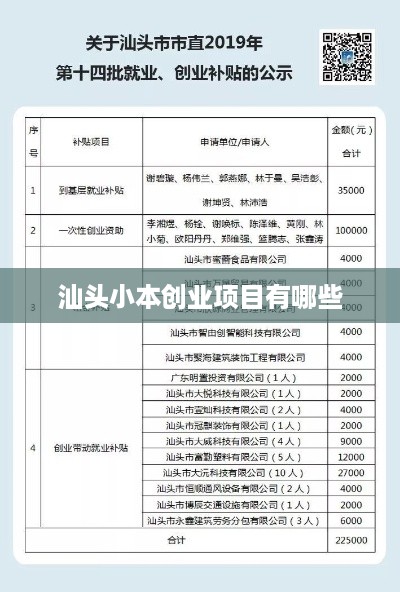 汕头小本创业项目有哪些