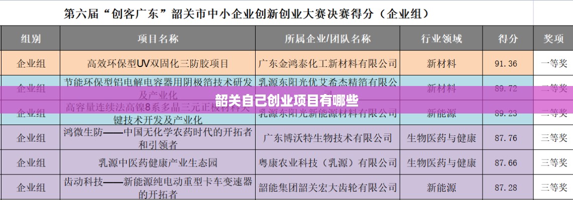 韶关自己创业项目有哪些