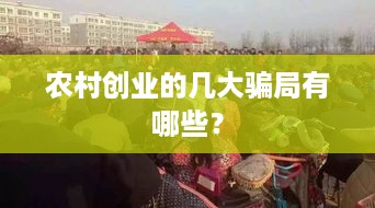 农村创业的几大骗局有哪些？