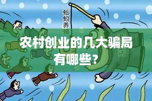 农村创业的几大骗局有哪些？