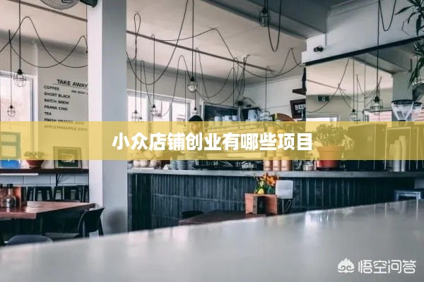 小众店铺创业有哪些项目