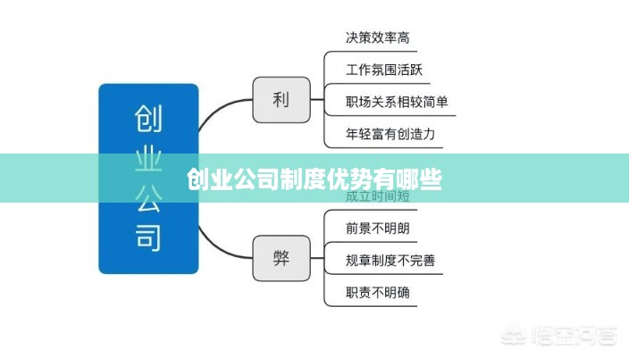 创业公司制度优势有哪些