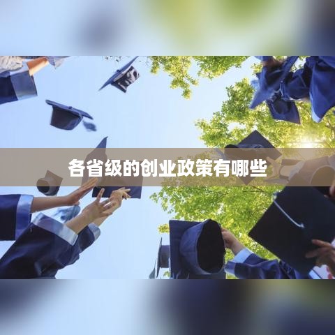 各省级的创业政策有哪些