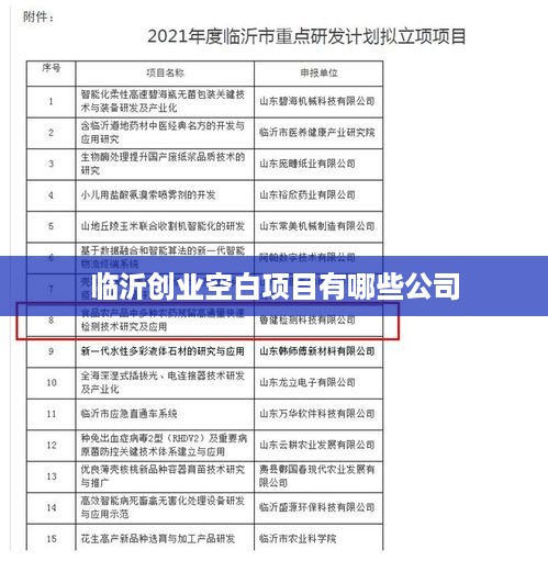 临沂创业空白项目有哪些公司