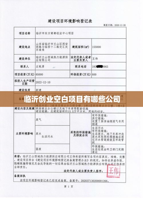 临沂创业空白项目有哪些公司