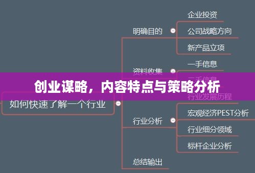创业谋略，内容特点与策略分析