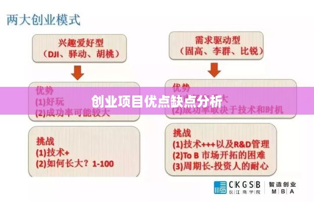 创业项目优点缺点分析