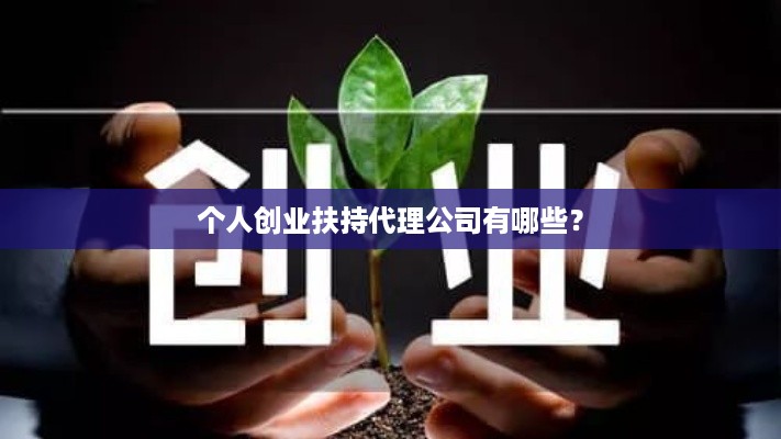 个人创业扶持代理公司有哪些？