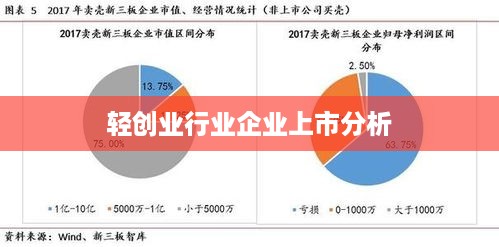 轻创业行业企业上市分析