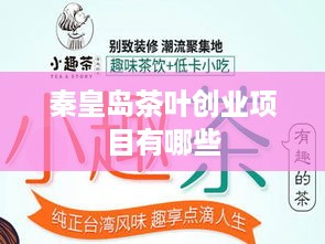 秦皇岛茶叶创业项目有哪些