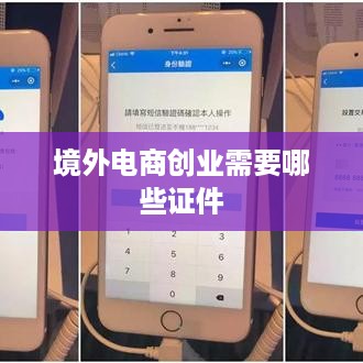 境外电商创业需要哪些证件