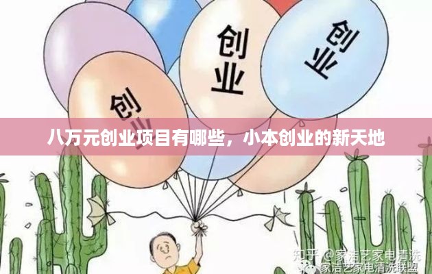 八万元创业项目有哪些，小本创业的新天地