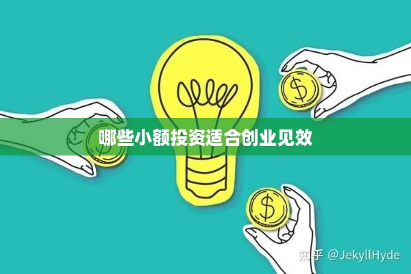 哪些小额投资适合创业见效