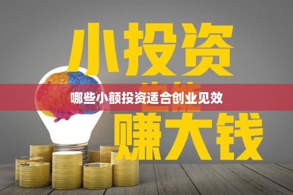 哪些小额投资适合创业见效