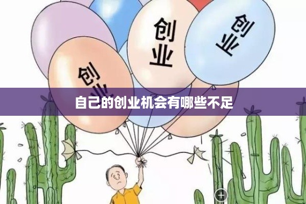 自己的创业机会有哪些不足