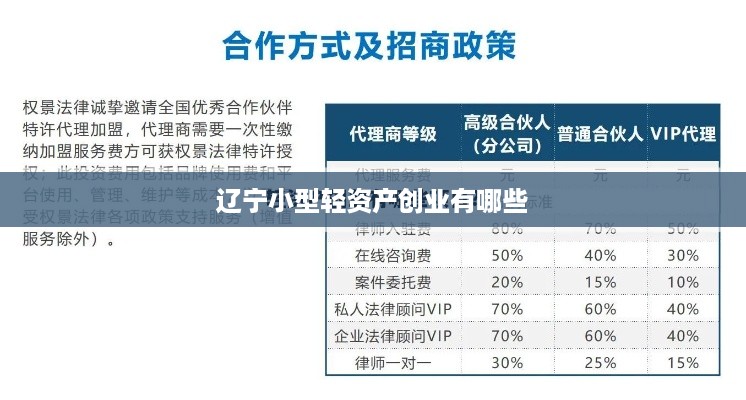 辽宁小型轻资产创业有哪些