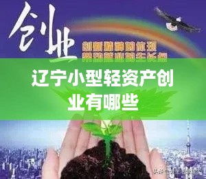 辽宁小型轻资产创业有哪些