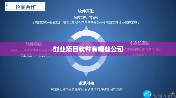 创业项目软件有哪些公司