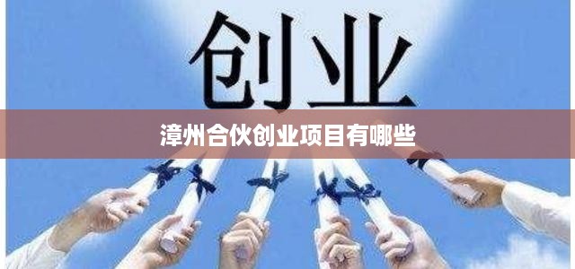 漳州合伙创业项目有哪些