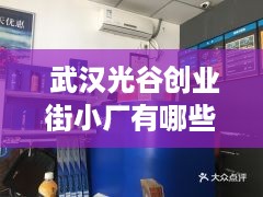  武汉光谷创业街小厂有哪些