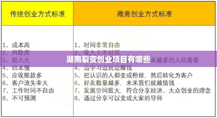 湖南裂变创业项目有哪些