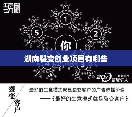 湖南裂变创业项目有哪些