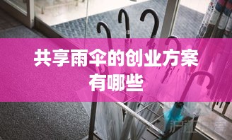 共享雨伞的创业方案有哪些