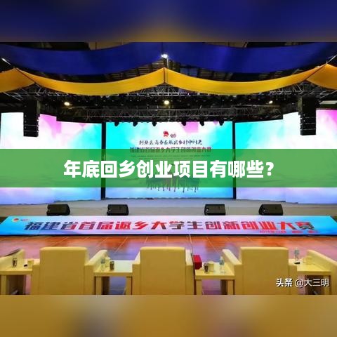 年底回乡创业项目有哪些？