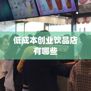 低成本创业饮品店有哪些