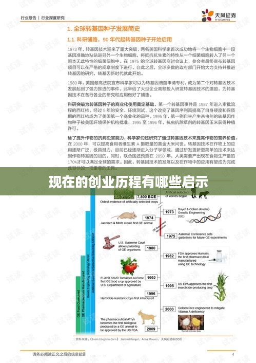 现在的创业历程有哪些启示