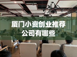 厦门小资创业推荐公司有哪些